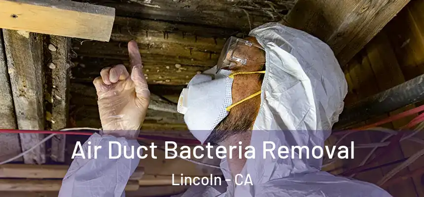  Air Duct Bacteria Removal Lincoln - CA