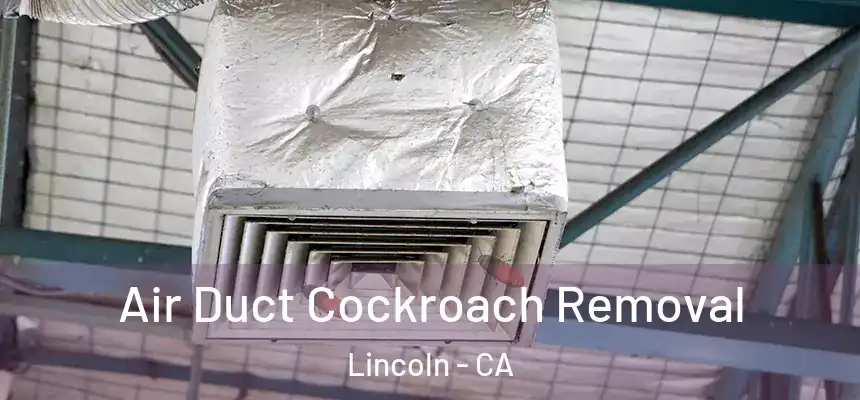 Air Duct Cockroach Removal Lincoln - CA