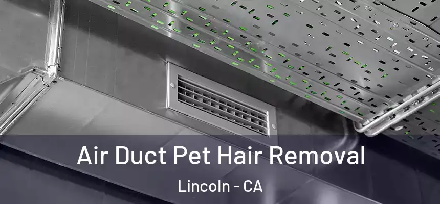 Air Duct Pet Hair Removal Lincoln - CA