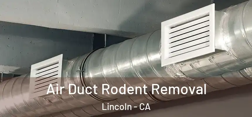  Air Duct Rodent Removal Lincoln - CA
