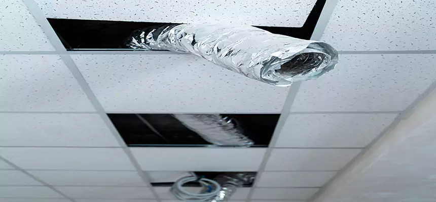 Our Air Duct Pet Hair Removal Services in Lincoln, CA