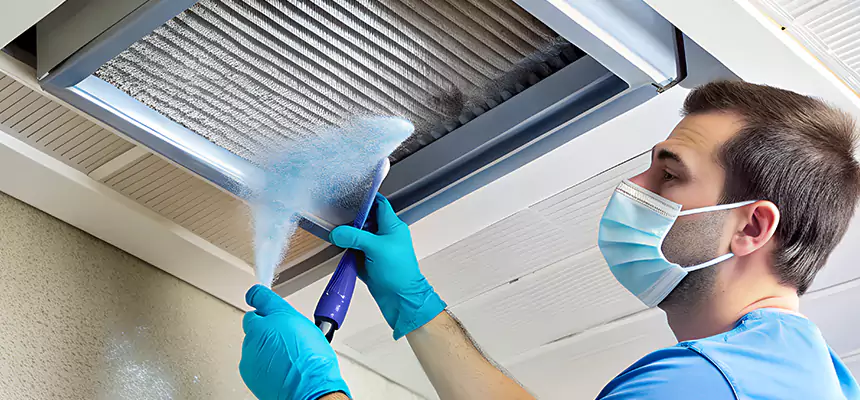 Proactive Dryer Vent & Auxiliary Duct Pollen Cleanup in Lincoln, CA