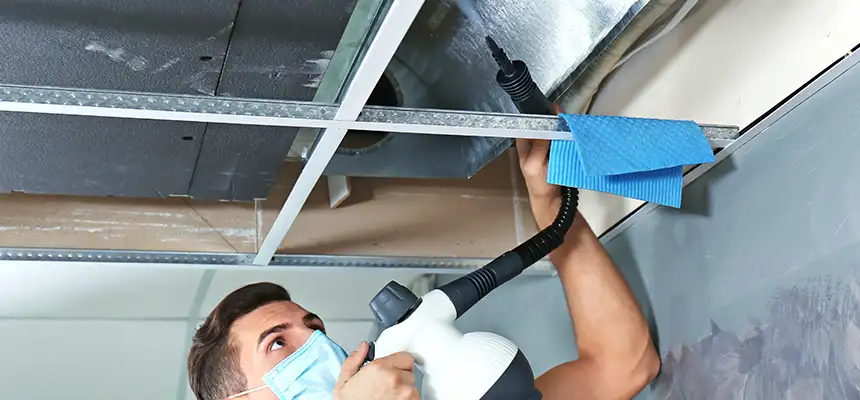 Our Air Duct Rodent Removal Services in Lincoln, CA
