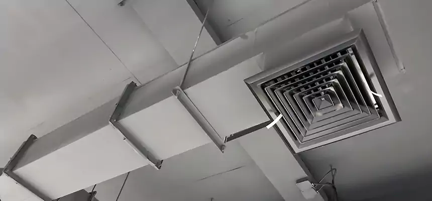 Our Rodent Droppings In Vents Services in Lincoln, CA