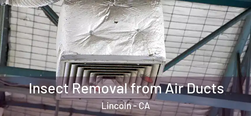  Insect Removal from Air Ducts Lincoln - CA