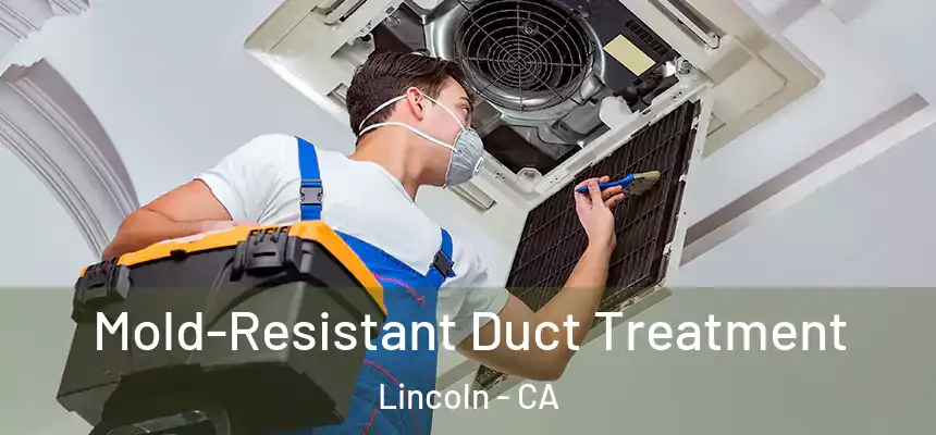 Mold-Resistant Duct Treatment Lincoln - CA