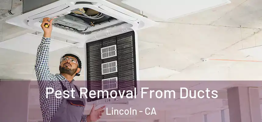  Pest Removal From Ducts Lincoln - CA