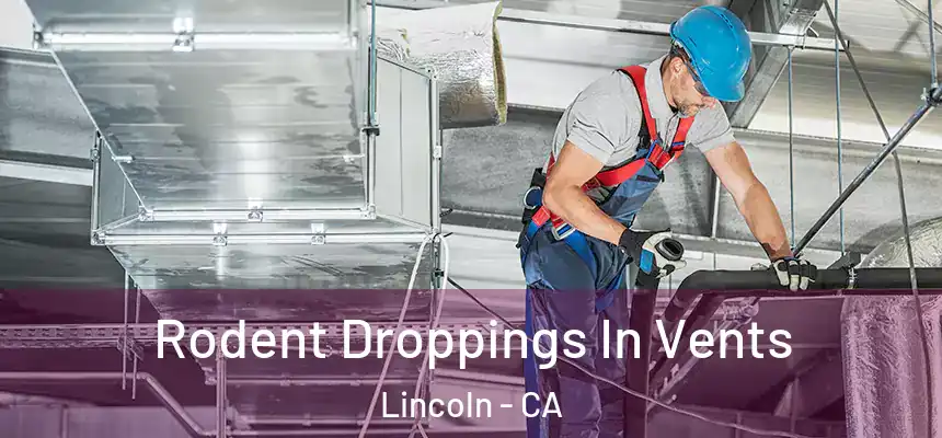  Rodent Droppings In Vents Lincoln - CA