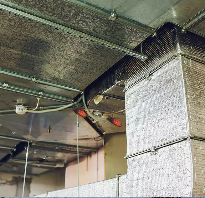 Why Homeowners & Businesses Trust Us in Lincoln, CA?