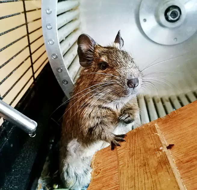 Why Homeowners & Businesses Trust Us Lincoln, CA?